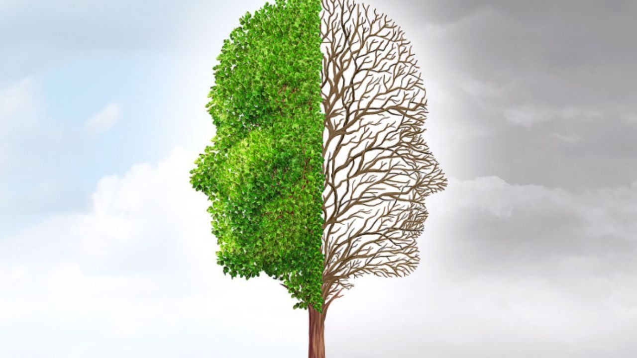 Emotional Balance Tips For Everyday Life That Fit Real Schedules